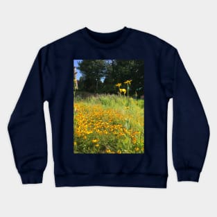 Black Eyed Susans Crewneck Sweatshirt